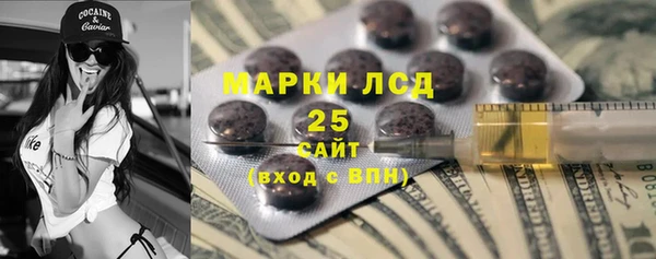 крисы Корсаков
