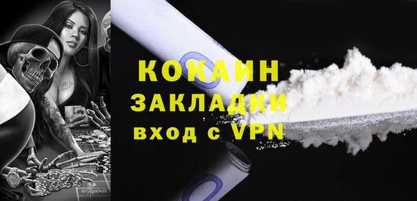 крисы Корсаков