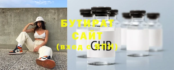 крисы Корсаков