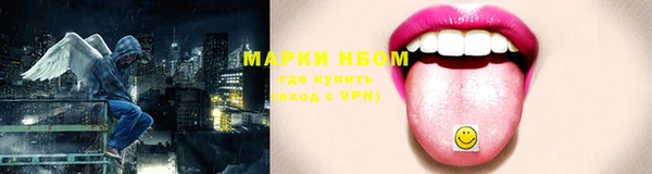 крисы Корсаков