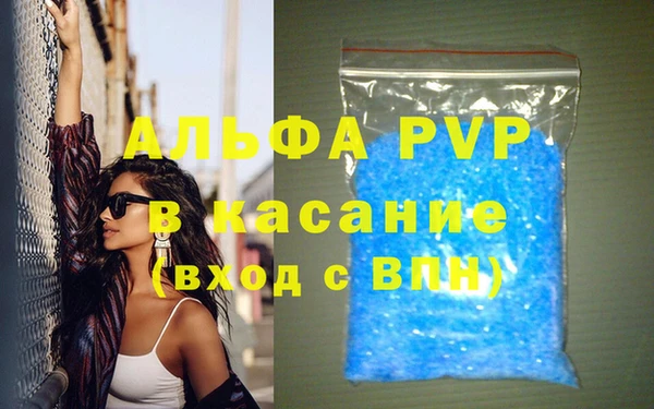 крисы Корсаков