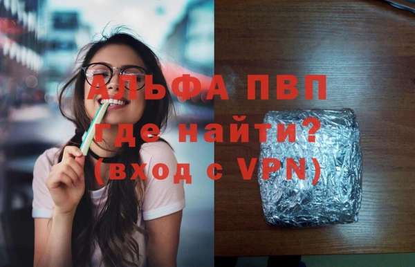 крисы Корсаков