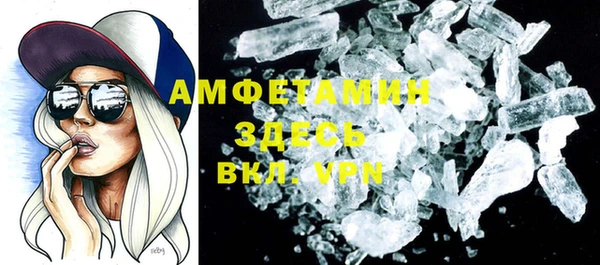 крисы Корсаков