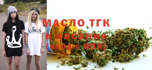 крисы Корсаков