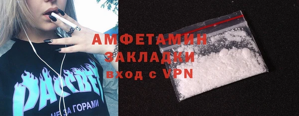крисы Корсаков