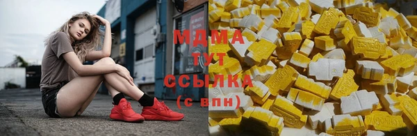 крисы Корсаков