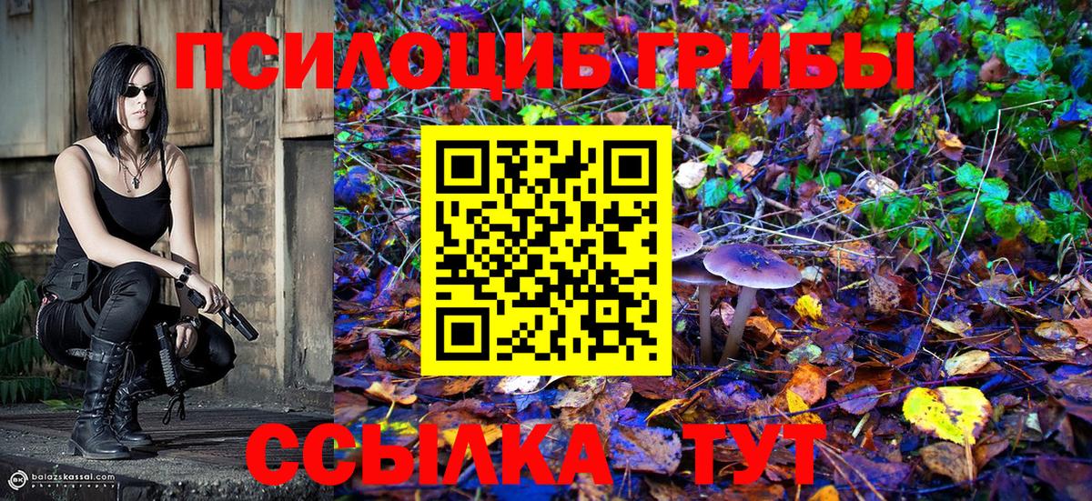 Псилоцибиновые грибы GOLDEN TEACHER  где купить наркотик  Вход с VPN  Гусь-Хрустальный  Псилоцибиновые грибы Psilocybine cubensis 